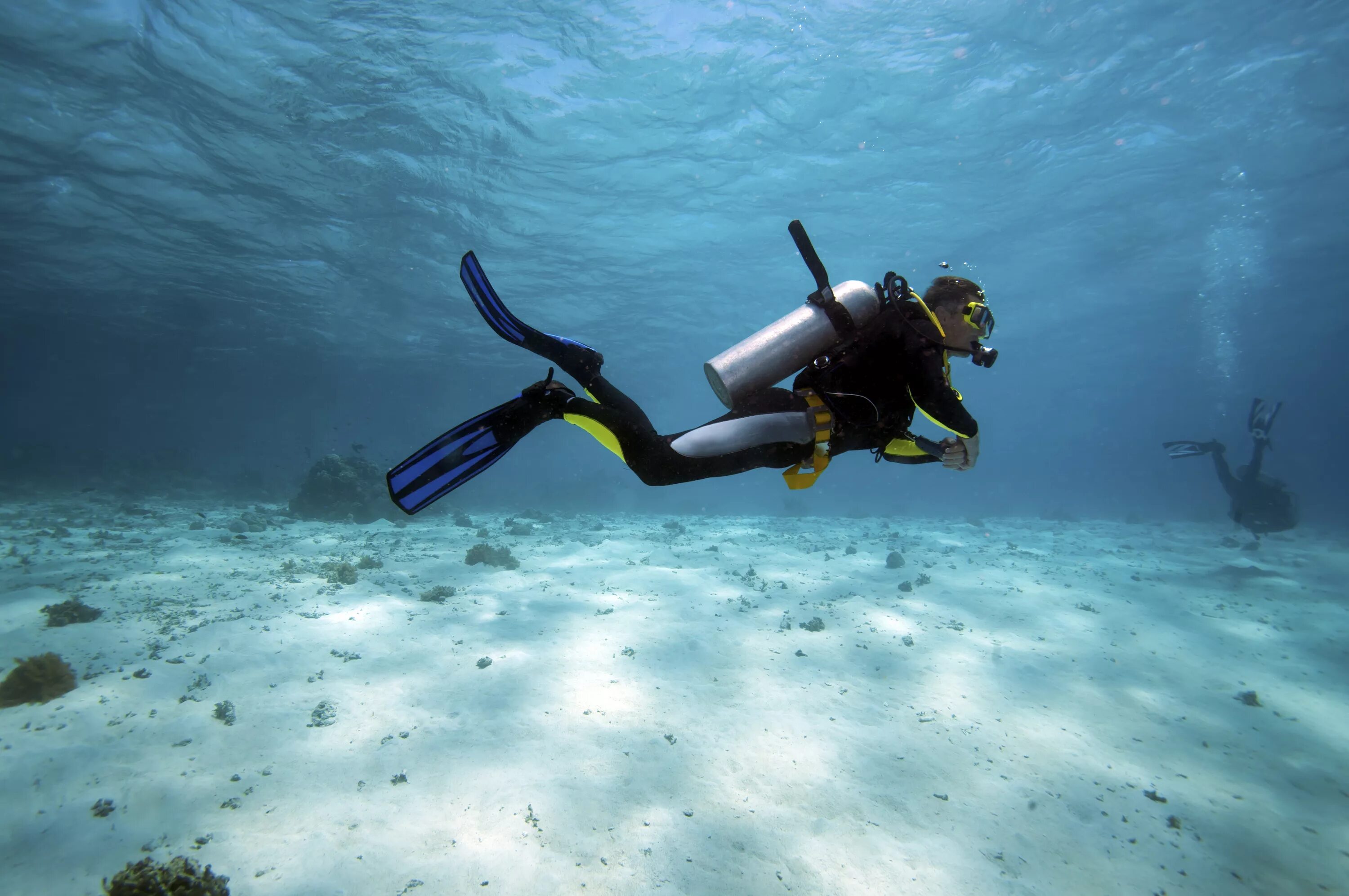 Адские ныряльщики. Скуба дайвинг. Дайвинг Scuba. Дайвинг Санто Доминго. Аквалангист.