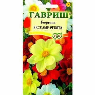 Георгины веселые ребята семена