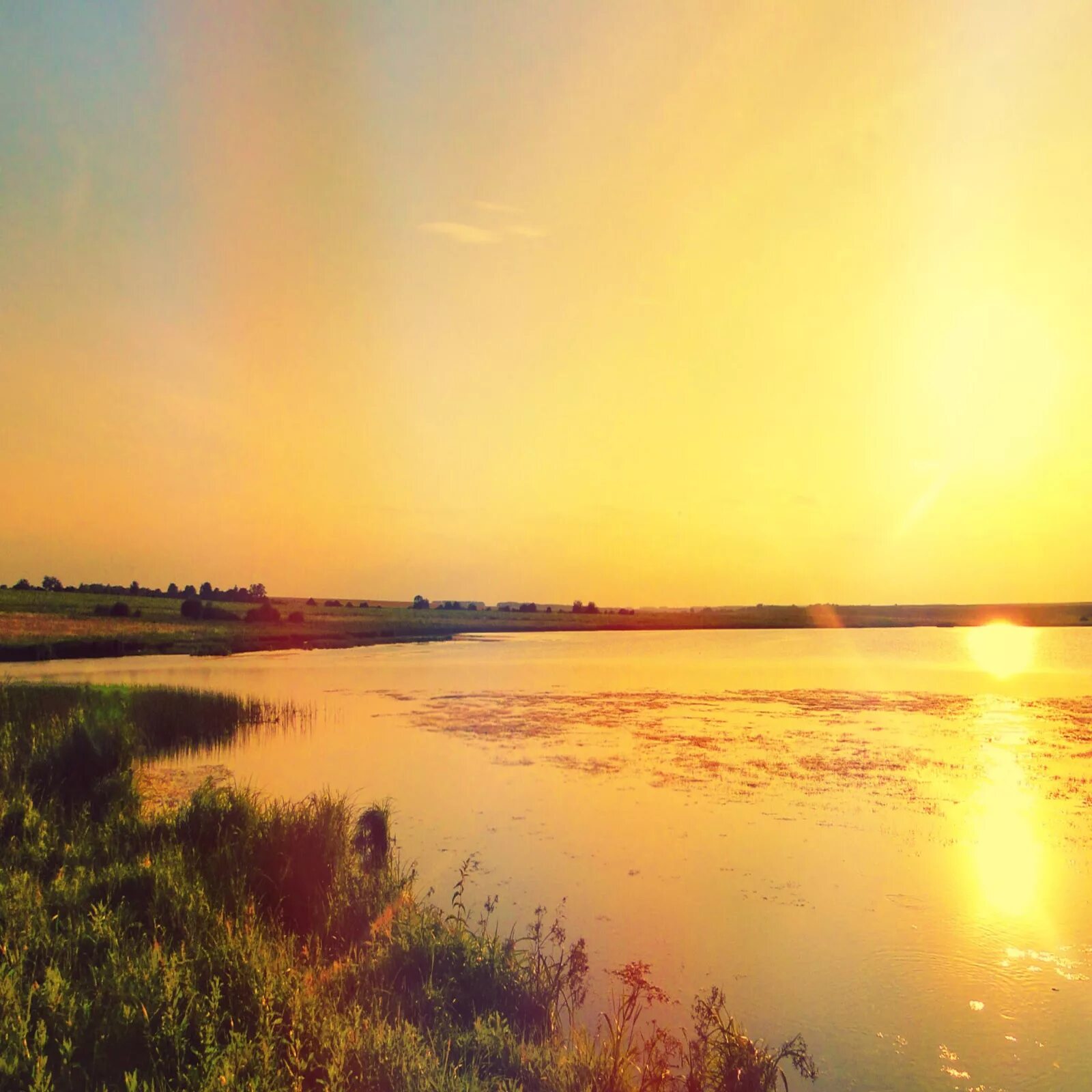 река пекша кольчугино. река пекша владимирская. река пекша рыбалка. пекша владимирская область. река пекша кольчугино плотина.