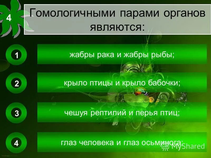 Тест по теме доказательства эволюции. Тест по теме доказательства эволюции