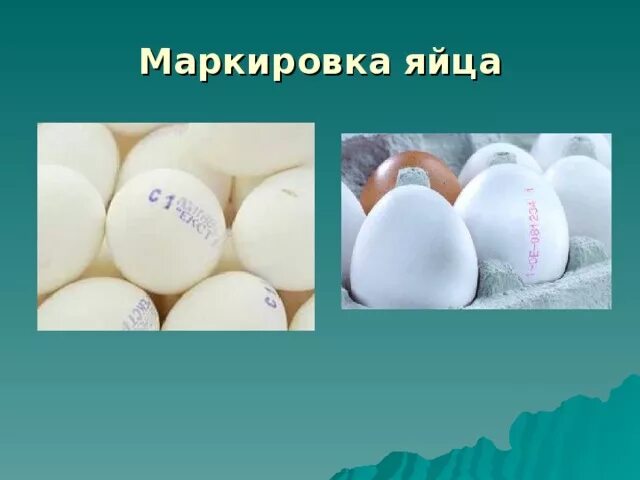 Маркировка яиц куриных. Маркировка яиц. маркировка диетических яиц. диетические яйца маркируют.