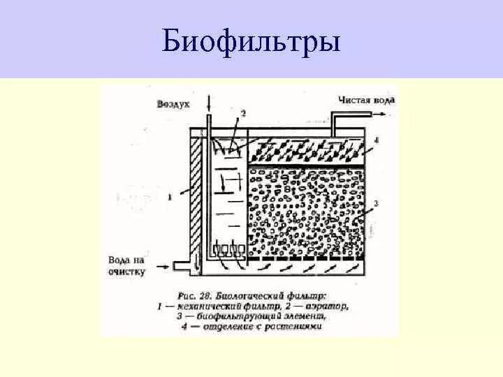 Как происходит очистка в биофильтрах
