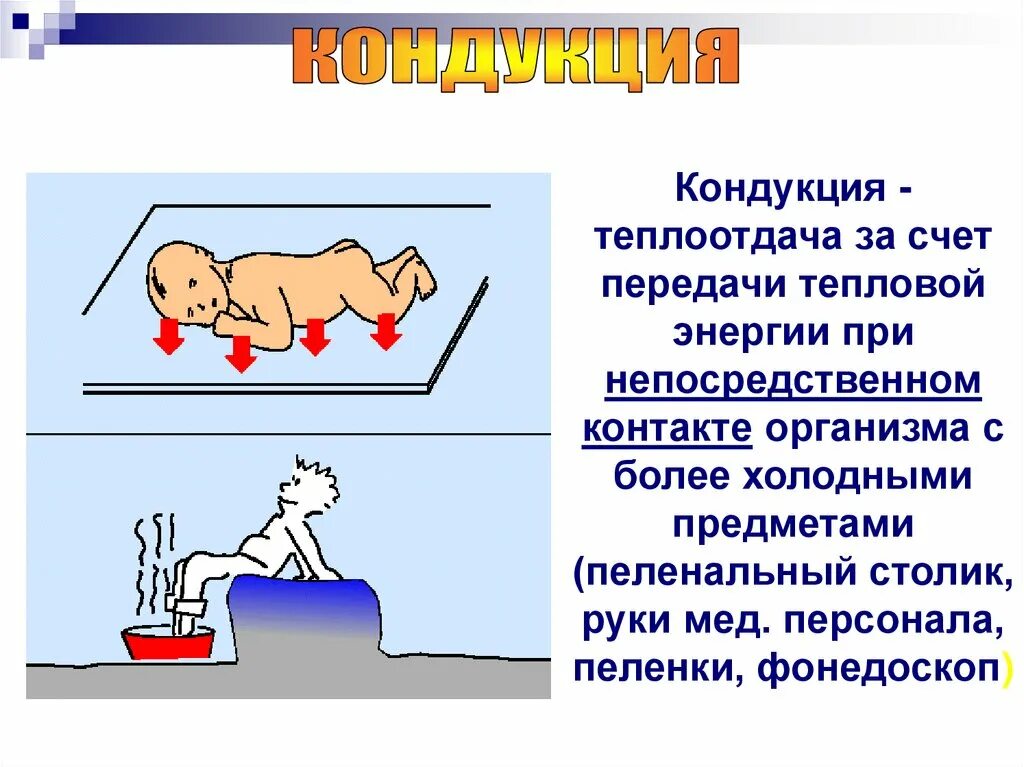 Пути передачи теплоты