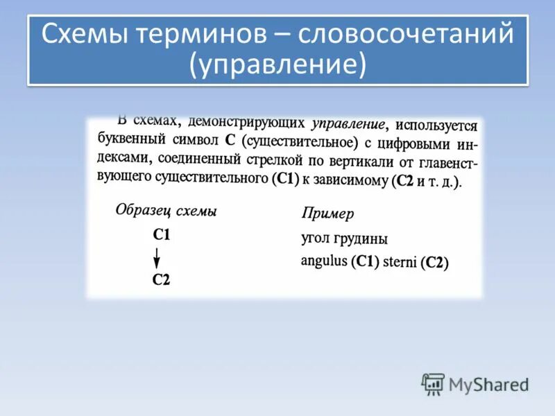 Словообразовательный анализ клинических терминов. Многословные медицинские термины. Суффикс префикс аффикс. Структура анатомического термина в латинском языке. Построение предложений в латинском языке.