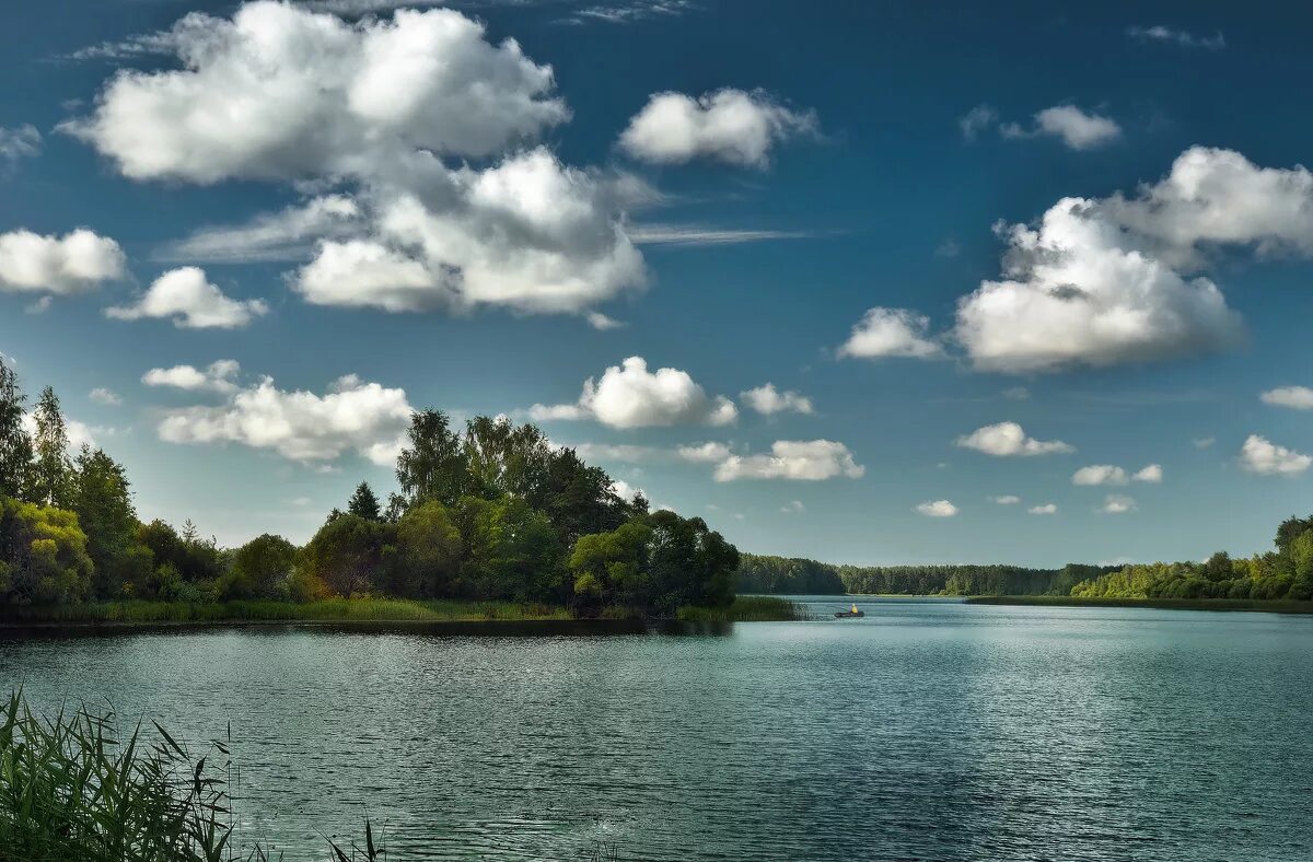 Река великая псковская область. Озеро ужинское гдовский район. Псков набережная реки великой. Псковская обл река великая. Река пскова.