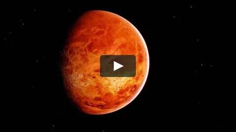 Ai venus