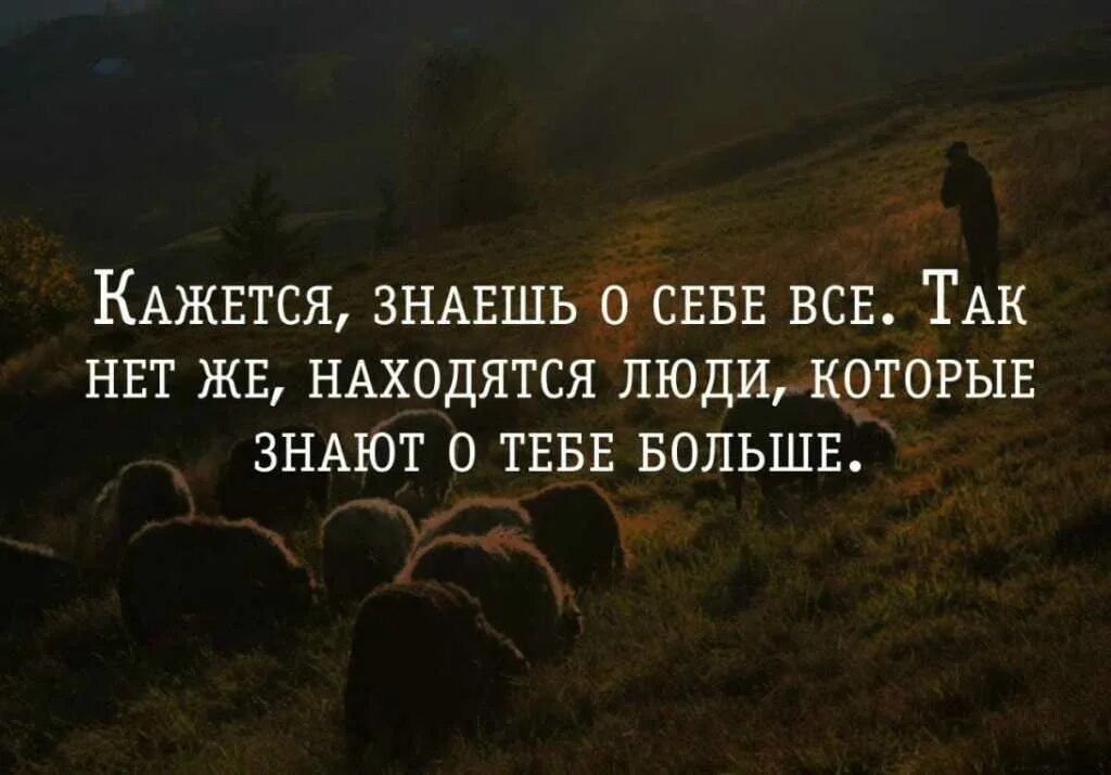 Сем сказанным. Знать себя цитаты. Кто знает себя тому не страшно что о нем говорят. Знай цитаты. Цитаты которые знают все.