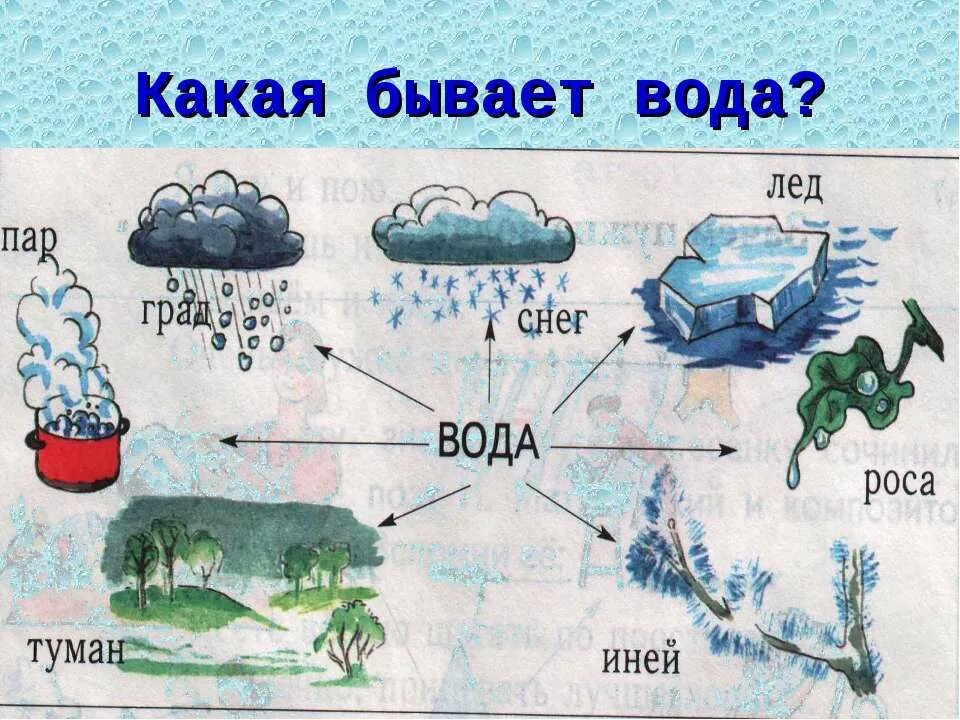 Какие есть состояния воды