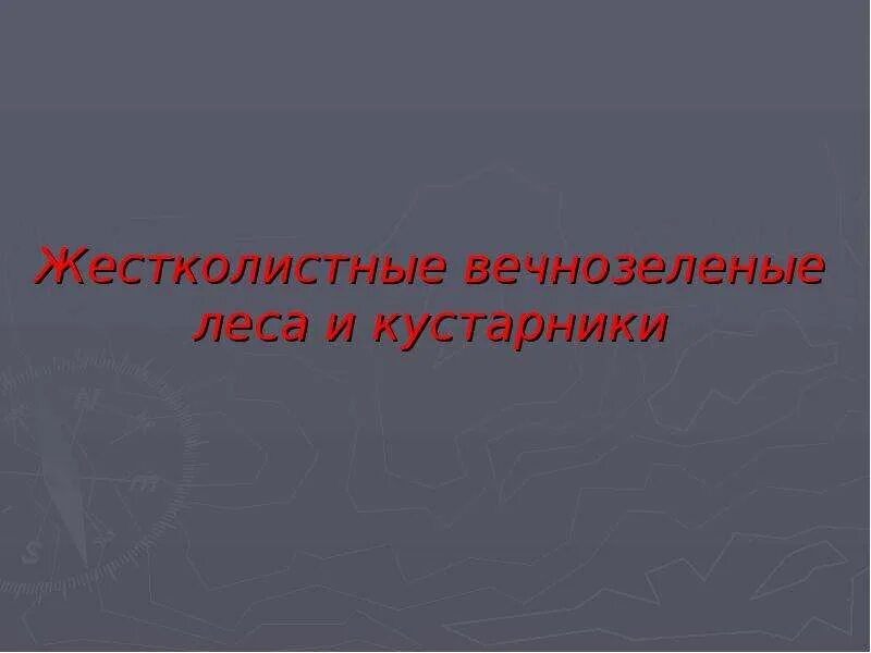 Климат жестколистных вечнозеленых. Жестколистные вечнозеленые леса и кустарники. Жестколистные вечнозеленые леса и кустарники животные. Жестколистные леса и кустарники климат. Жестколистные леса и кустарники климатический пояс.