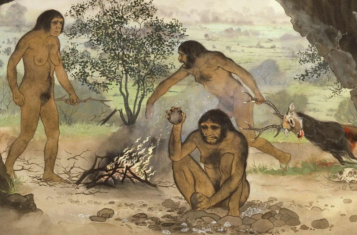 Человек разумный разумный homo sapiens sapiens. Хомо сапиенс отряд приматы. Кайнозойская эра антропогеновый период. Кроманьонцы и неандертальцы и денисовцы. Семейство homo.