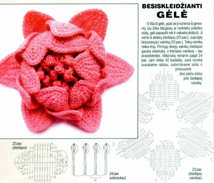 Crochet flowers, Crochet daisy, Crochet bouquet