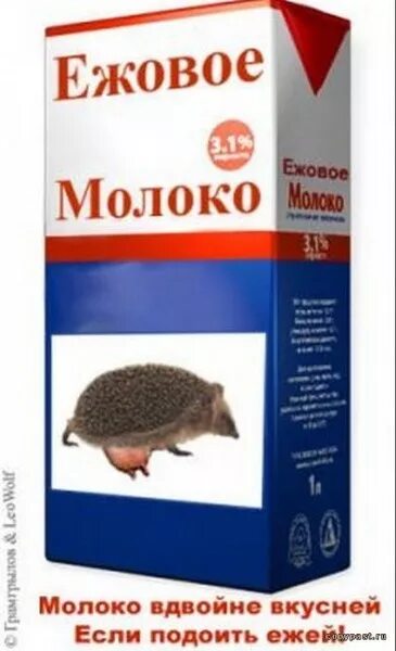 Ежовый предложение