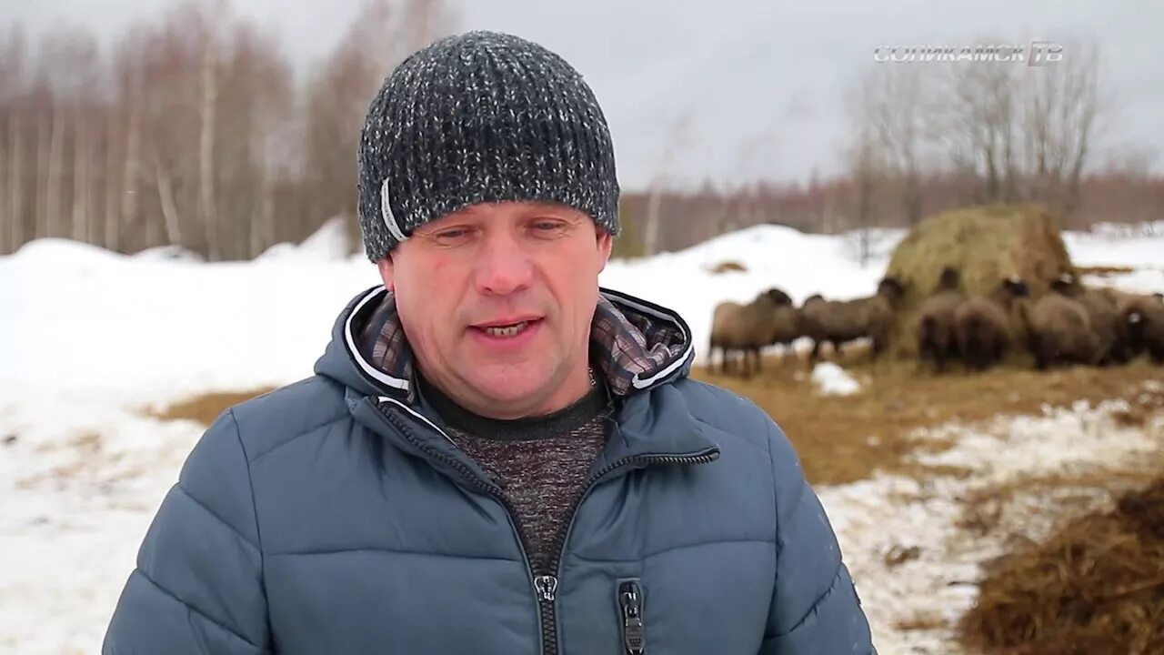 Толстик. Эко деревня толстик. деревня толстик. д толстик соликамского района. толстик соликамский район.