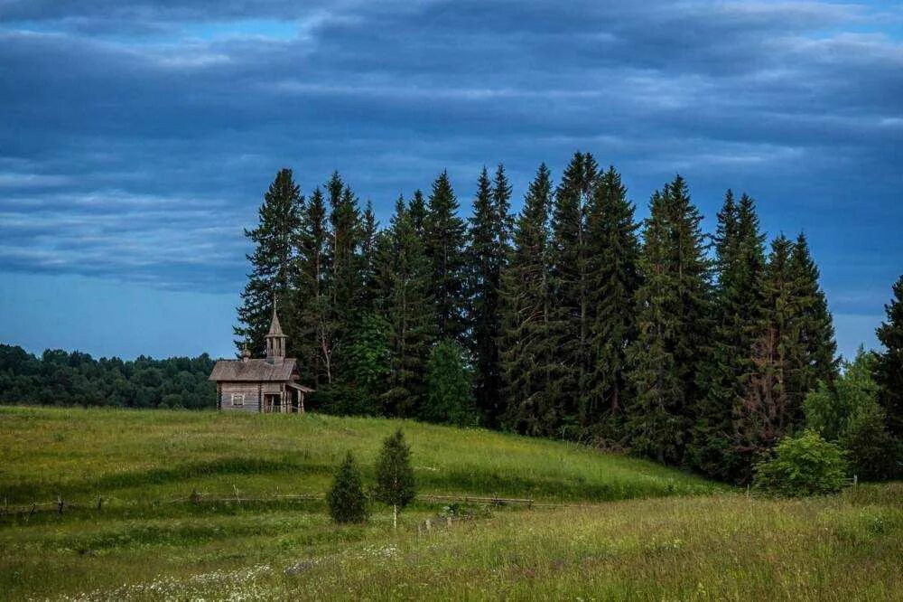 Кенозерский национальный парк. Каргополь Кенозерский национальный парк. Кенозерский парк Архангельская область. Кенозерский национальный парк природа. Кенозерский парк сайт