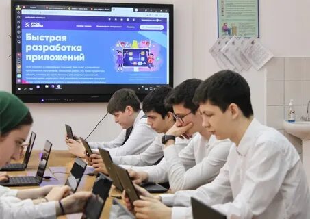 Приложение ученик