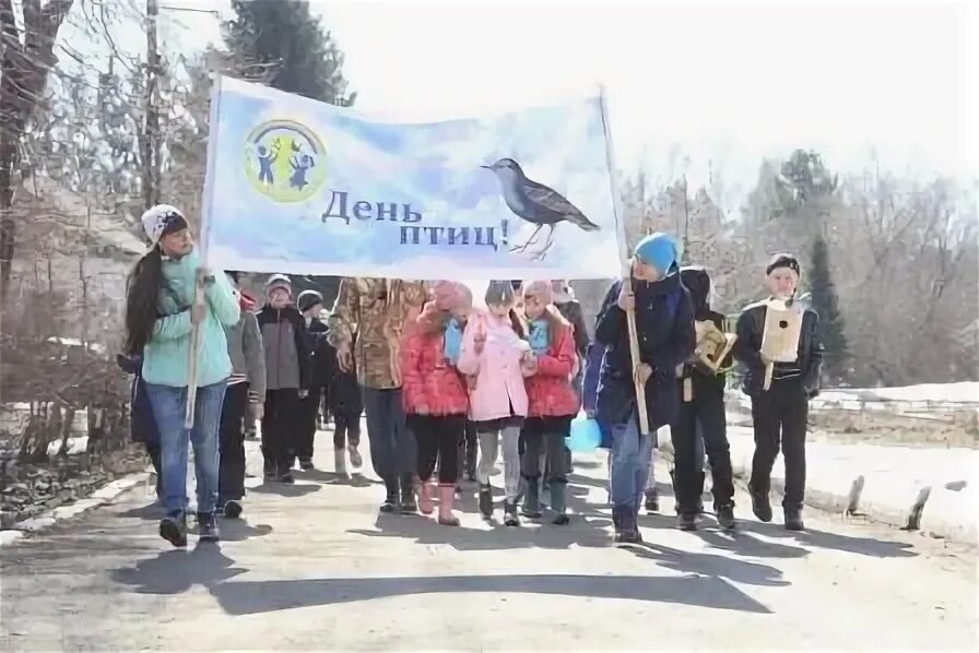 День птиц видео. День птиц. Международный день птиц. Отмечаем день птиц мероприятия. День птиц в школе.