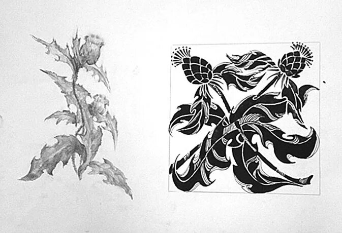 Графическая композиция. Трансформация растительных форм в орнаментальные мотивы. Композиция из стилизованных растений. Стилизация растений грэхем лесли. Композиция природных форм.