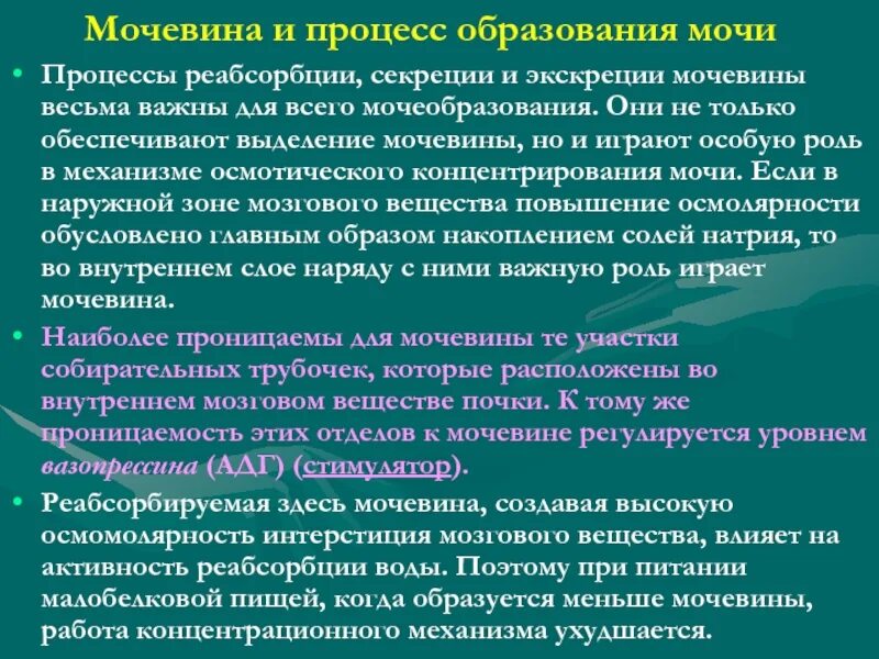 Роль мочевины в организме. Выделение мочевины. Образование мочевины у человека. Как образуется мочевина в организме. Выводит мочевину