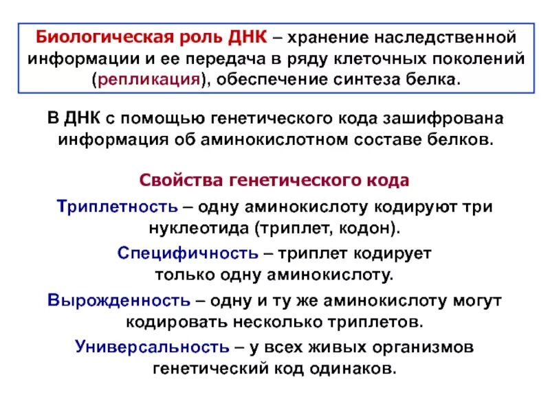 Днк строение свойства функции. Строение, свойства и биологическая роль днк и рнк.. какова биологическая роль днк. днк и рнк. строение, локализация в клетке и биологическая роль.. днк строение структура функции.