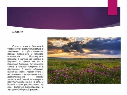 Южные зоны степей