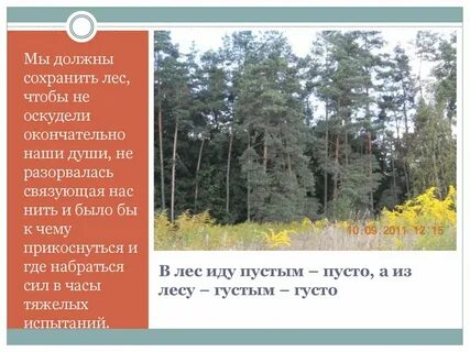 С лесу пришло на лес пойди