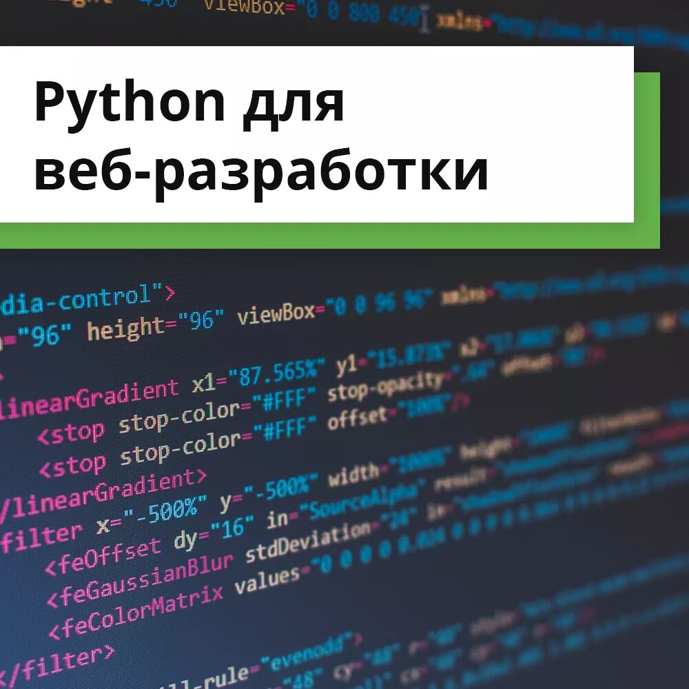 Курс python. Веб разработка на Python. Питон разработка. Веб Разработчик питон. Пайтон веб разработка.