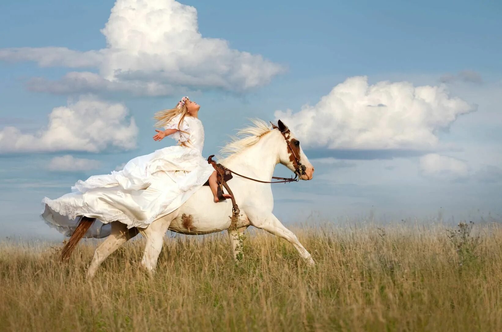 Мы вновь ехали на лошадях и любовались. Девушка мчится на коне. Богиня на коне. Лошади на свободе. Рианнон богиня лошадей.