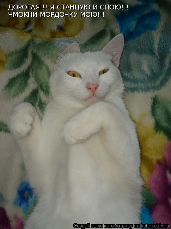 и спеть и сплясать. и спеть и сплясать. п. журнал споём. сейчас станцую.