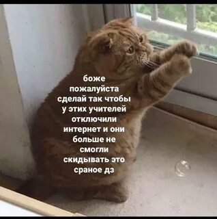 Ну боже