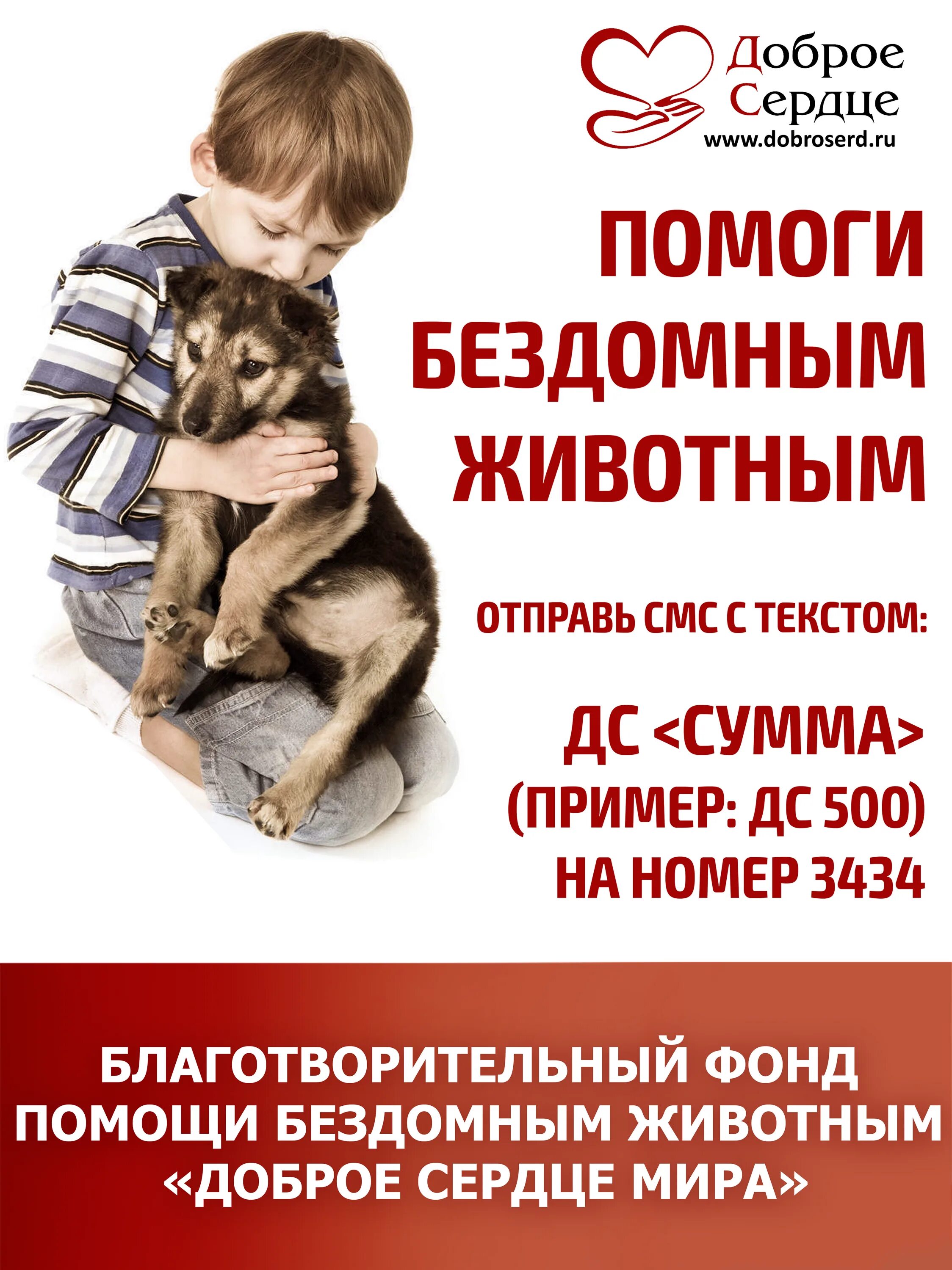 Добрые сердца помощь животным. Фонд бездомных животных. поможем бездомным животным. благотворительность бездомным животным. помоги животным.