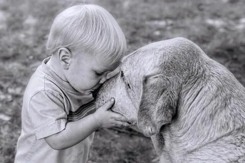 Dog goes first