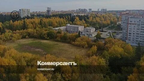 Леса ижевска