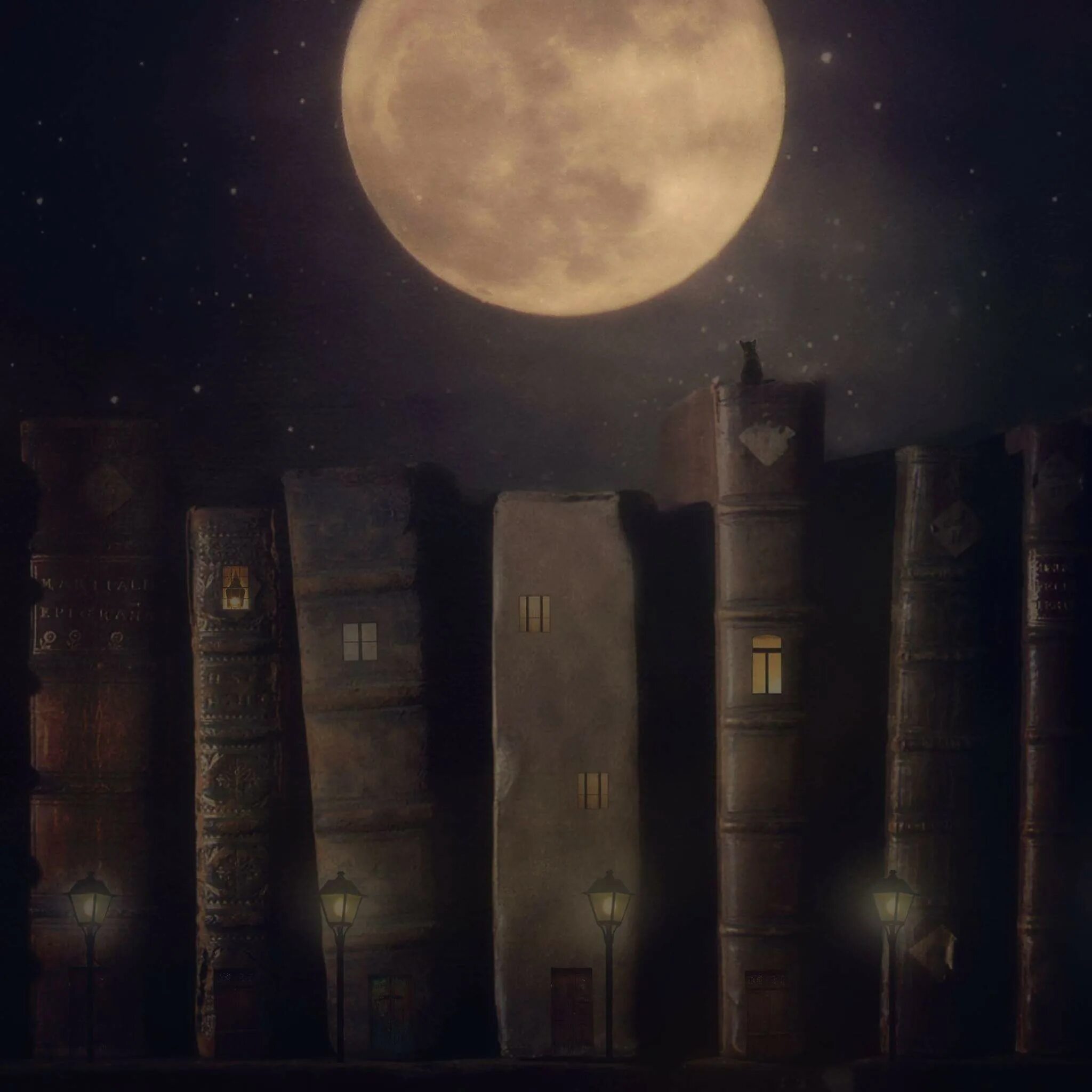 Ночные книги 2021. Книга ночи. Книжка на ночь. Книги ночь Эстетика. Книги в ночи живопись.