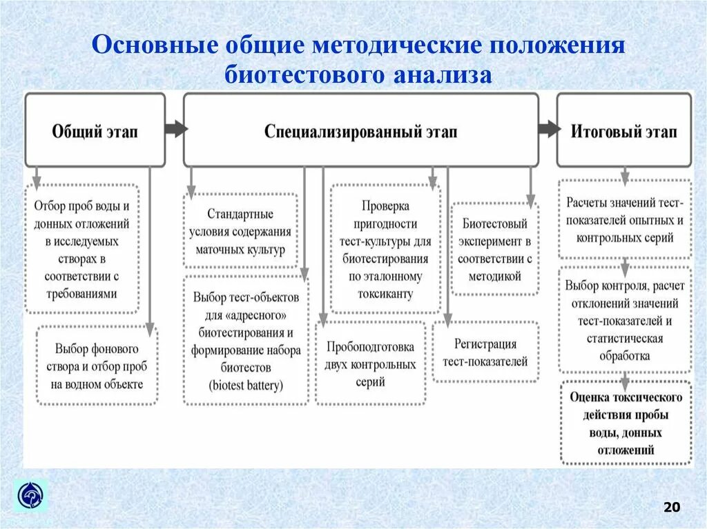 Анализ существующих методик. Основные методы биотестирования. Методические положения. Методы биотестирования схема. Оценка качества среды методами биотестирования..