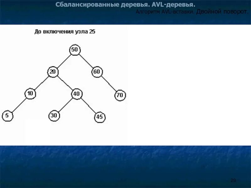 Сбалансированное дерево алгоритм. Сбалансированное дерево алгоритм