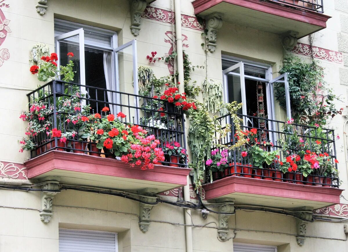 Вьющиеся растения для балкона. Вьющиеся цветы для балкона. Балкон с вьющимися растениями. Старинный балкон с цветами.