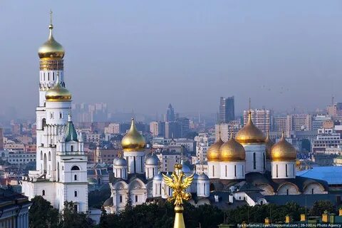 Оригинал москва