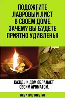 Зачем поджигать лавровый лист в квартире