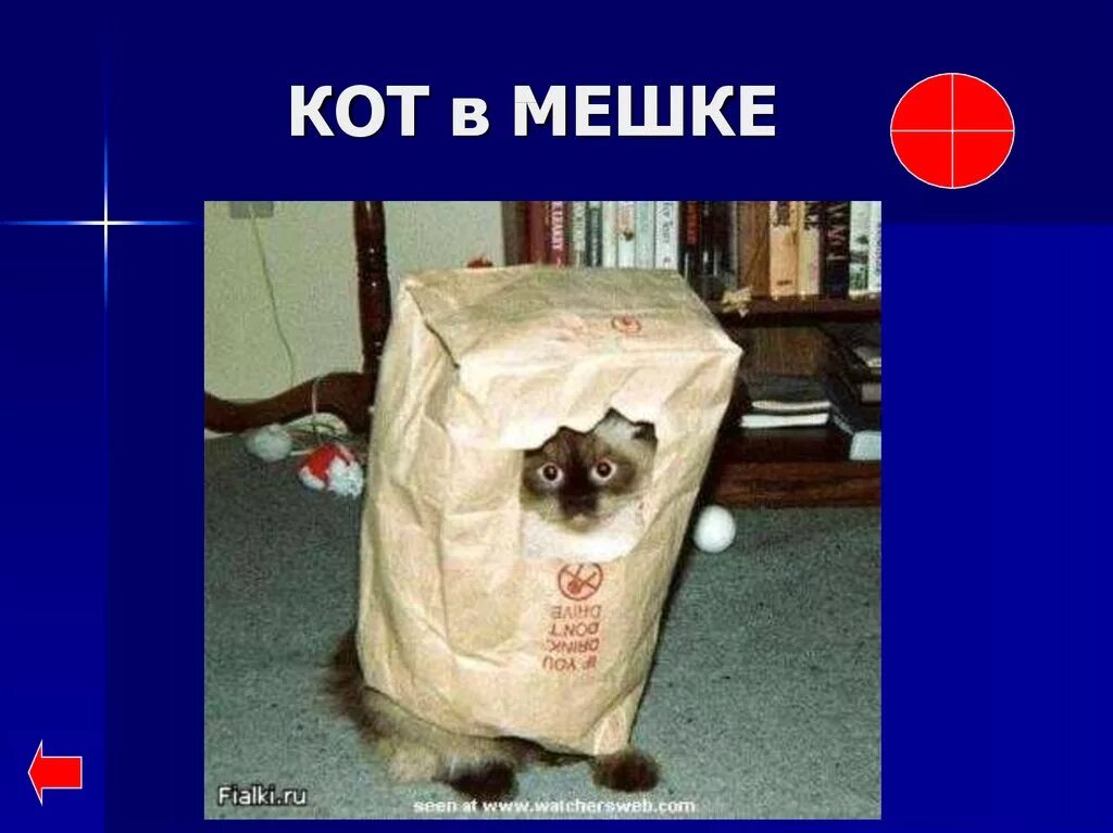 Кот в мешке пословица. Кот в мешке. кот в мешке фразеологизм. мешок для кошки.