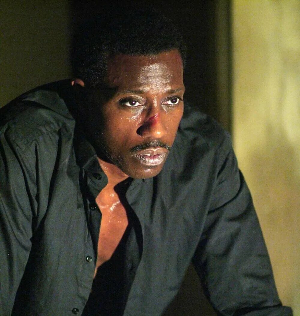 Уэсли снайпс стрелок. Стрелок актер 2007. Боб ли суэггер стрелок. Стрелок актер 2007. Стрелок актер 2007.