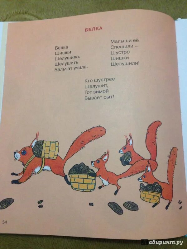 Продолжить дружит белка с шишкой. Стих лунина дружит белка с шишкой. дружит белка с шишкой. лунин дружит белка с шишкой заяц с кочерыжкой. в.лунин дружит белка с шишкой стихотворение.
