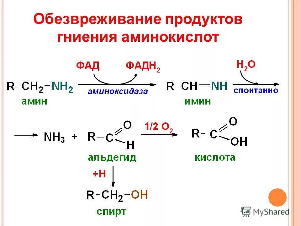 обезвреживание пищи. обезвреживание пищи. обезвреживание пищи. способы обезвреживания продуктов питания и воды. обезвреживание пищи.