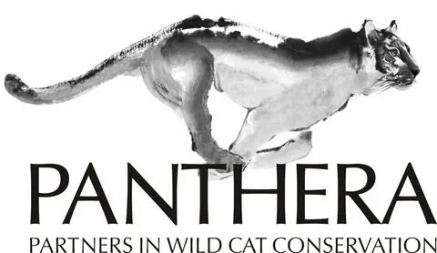 Wild partners