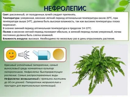 Уходу форум