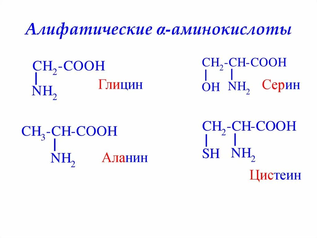 Алифатические и ароматические аминокислоты. Ациклические (алифатические) аминокислоты. Алифатические аминокислоты формула. Алифатические Альфа аминокислоты.