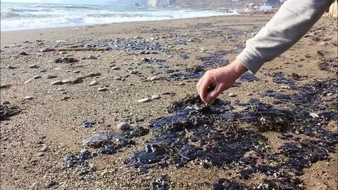 Мазут в море
