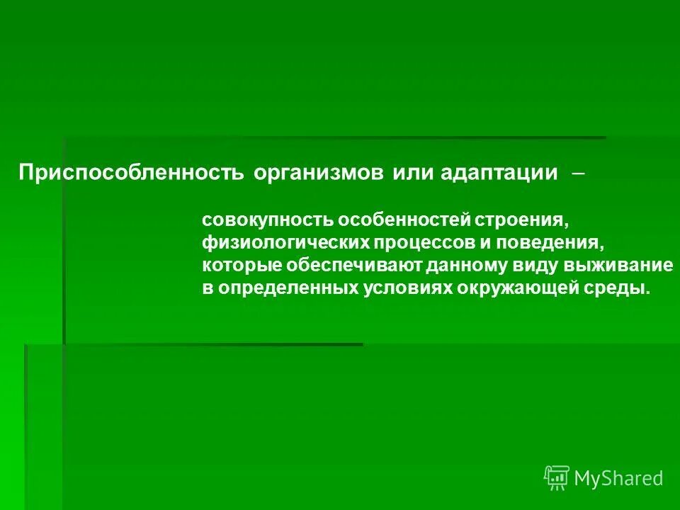 Приспособленность результат действия естественного отбора