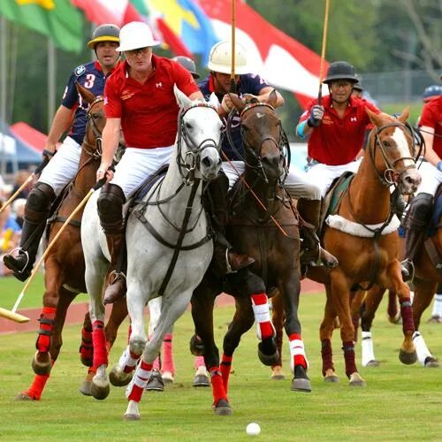 Final Polo match - Gilgit vs Chitral - l Shandur Polo Festival 2019 l - YouTube