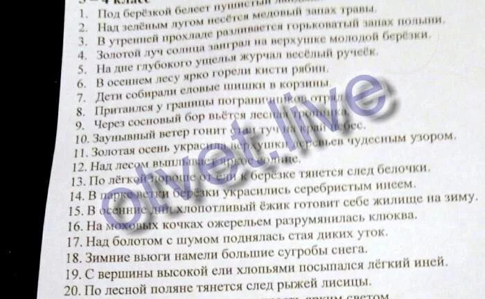 Под березкой белеет пушистый. Под берёзкой белеет пушистый ландыш разбор. под березкой белеет пушистый ландыш разбор предложения. над зелёным лугом несётся медовый запах травы разбор предложения. под березкой белеет пушистый ландыш морфологический разбор.