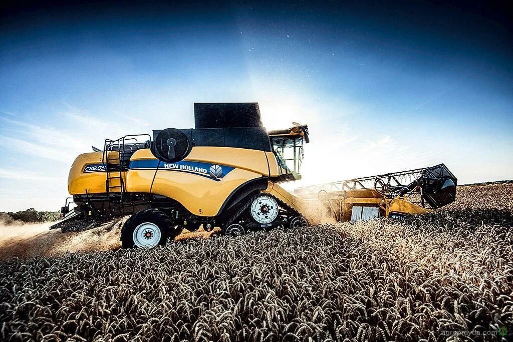 New holland масла. Комбайн Нью Холланд. Нью Холланд 6080 комбайн. Комбайн New Holland CX. Комбайн New Holland CX 6030.